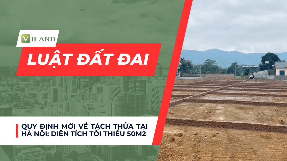 Chuyên nhà cho thuê và tra cứu quy hoạch thông minh