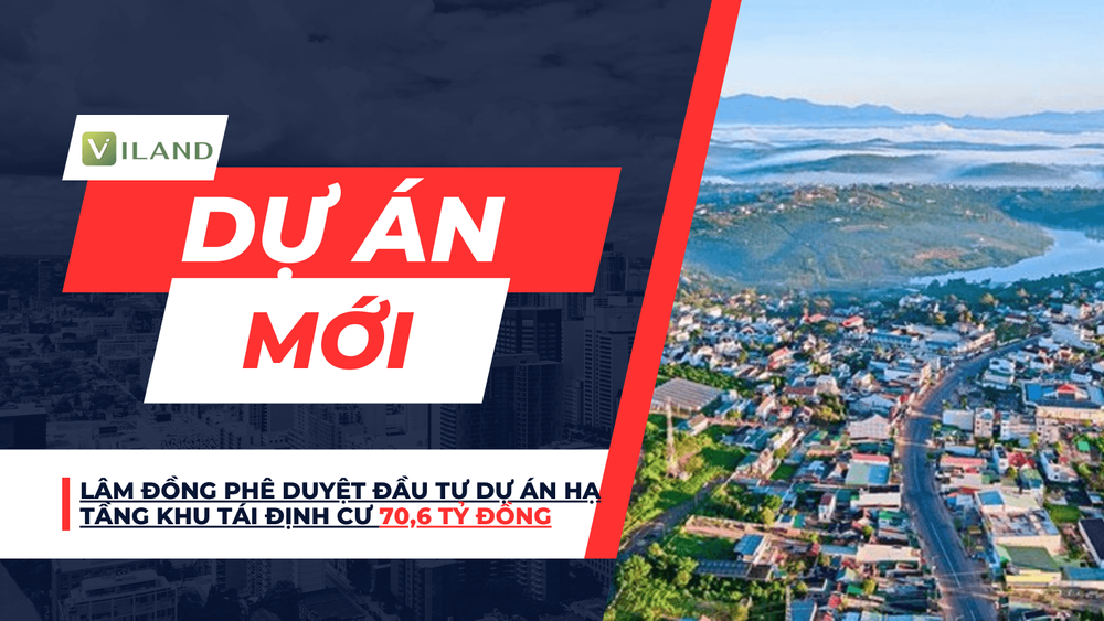 Chuyên nhà cho thuê và tra cứu quy hoạch thông minh