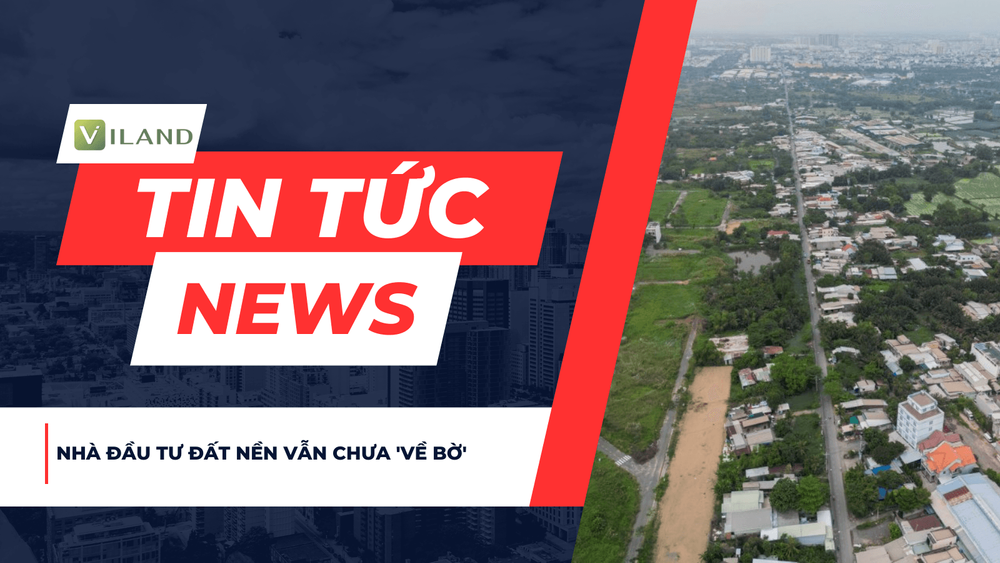 Chuyên nhà cho thuê và tra cứu quy hoạch thông minh