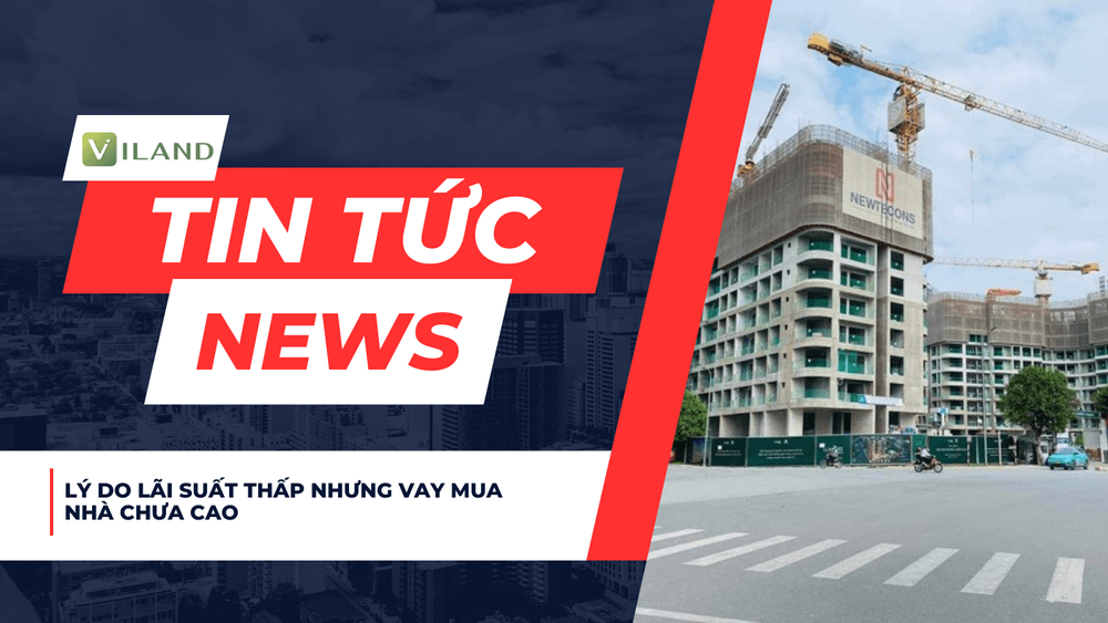 Chuyên nhà cho thuê và tra cứu quy hoạch thông minh